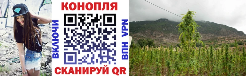 Купить наркоту Реутов Codein МЕФ Конопля Alpha PVP