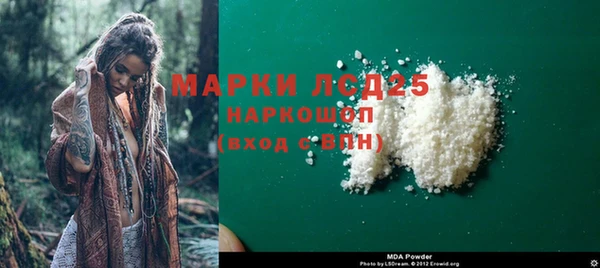ГАЛЛЮЦИНОГЕННЫЕ ГРИБЫ Аркадак