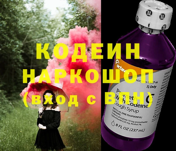 молекула духа Лабытнанги